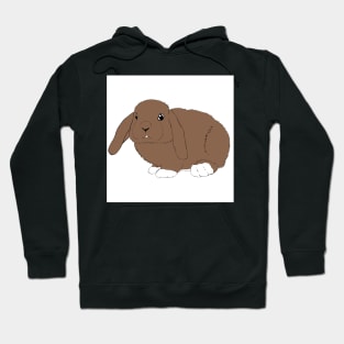 Lop rabbit brown fawn white Hoodie